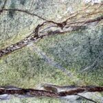 Marmo Rain Forest Green