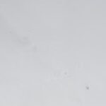 Bianco Sivec