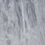 Versylis