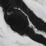 Dalmata