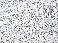 Terrazzo alla Veneziana