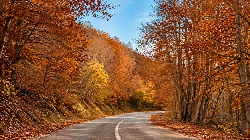 Paesaggio autunnale con alberi dalle tonalità calde e terrose